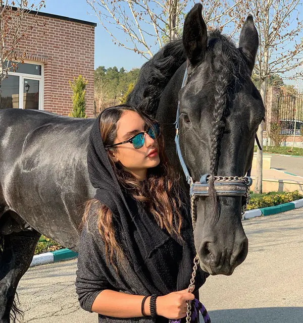 ترلان پروانه اسب سواری