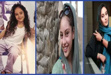 بیوگرافی ترلان پروانه