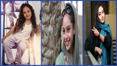 بیوگرافی ترلان پروانه